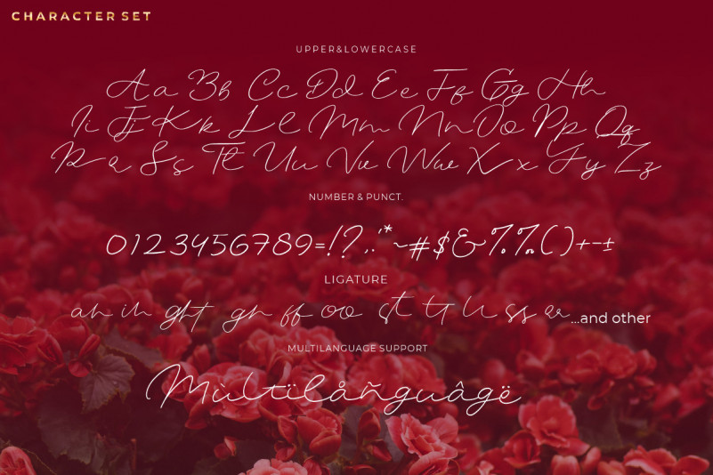 Mustine Font preview image 4