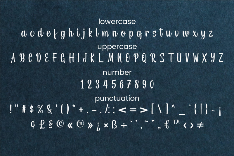 Miradila Font preview image 4