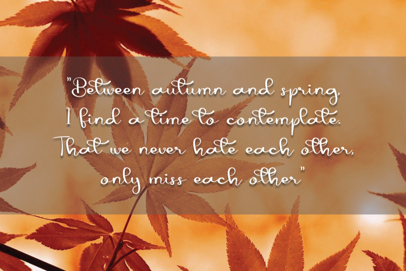 Autumn Font preview image 2