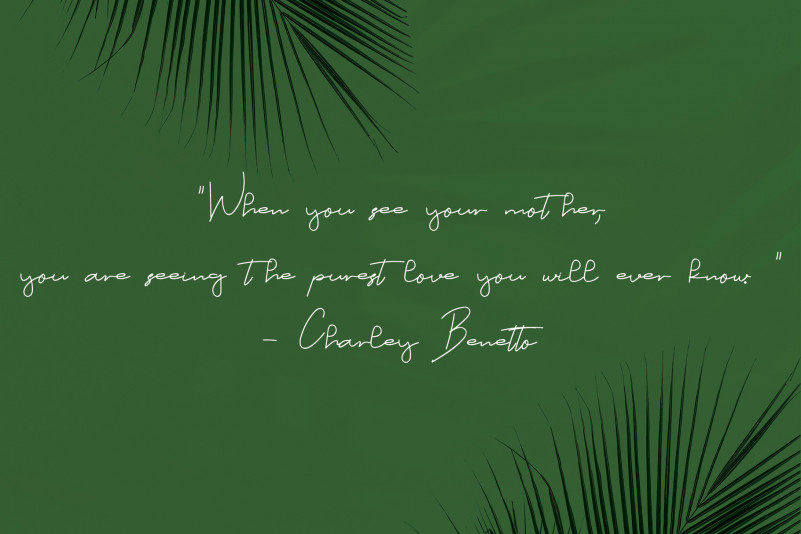 Angel Signature Font preview image 3