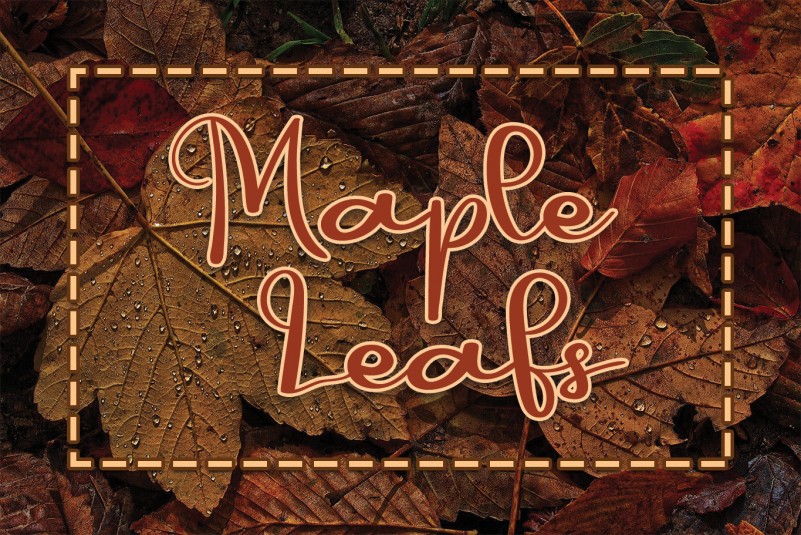 Autumn Font preview image 4