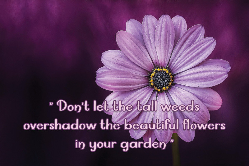 Sunflower Font preview image 4
