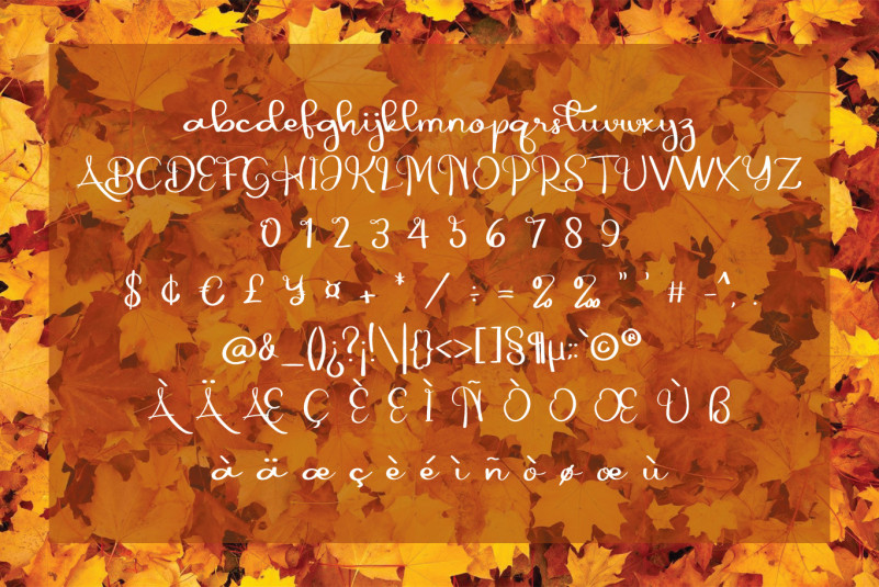 Autumn Font preview image 5