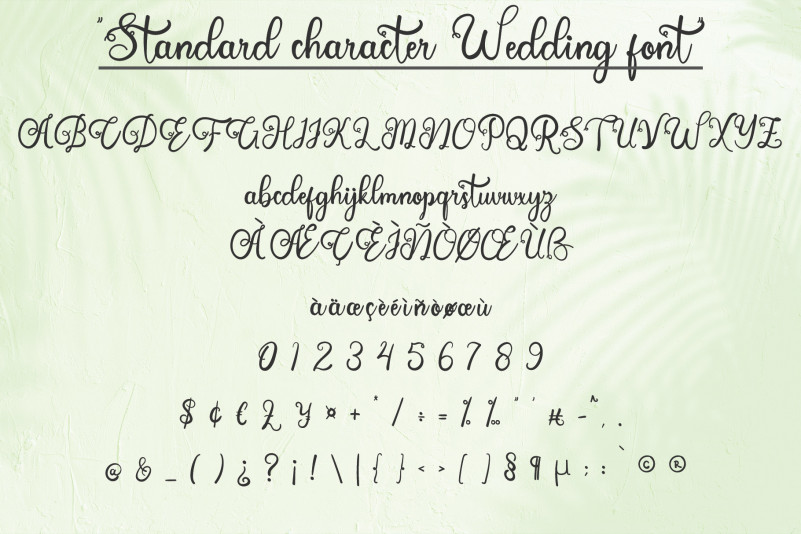 Wedding Calligraphy Font preview image 3