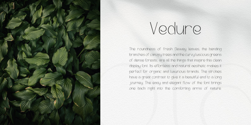 Verdure Font preview image 2
