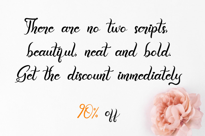 Welcome Summer Script Font preview image 2