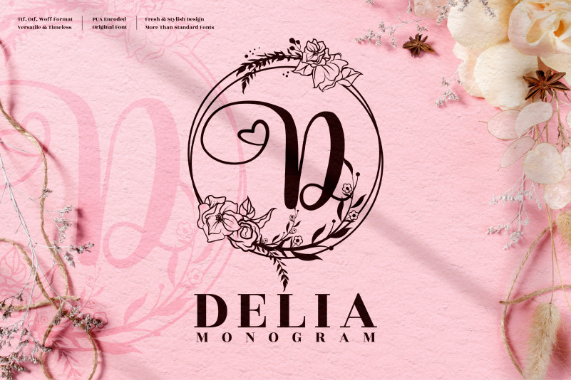 Delia Monogram Display Font