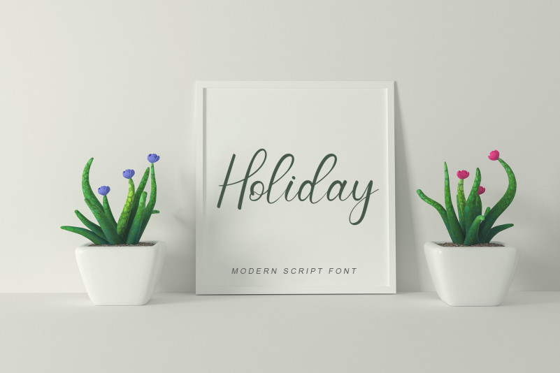Summer Signature Font preview image 2