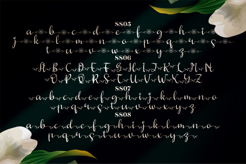 Butterfly Hellyna Font preview image 4