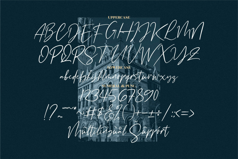 Buffalo City Font preview image 4