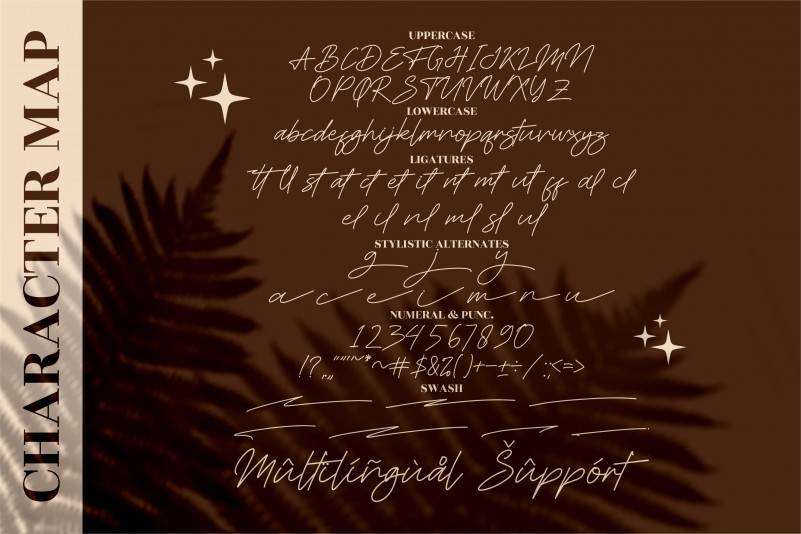 Ferttigra Font preview image 5