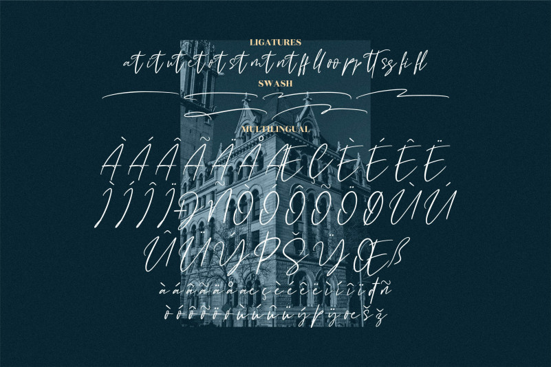 Buffalo City Font preview image 5