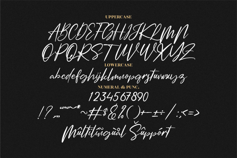 Amsterdam Signature Typeface preview image 3