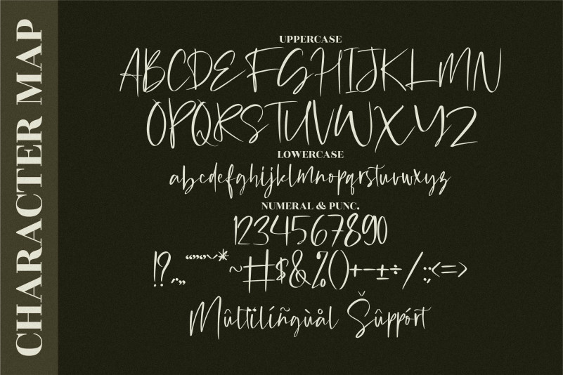 Michigan Custom Font preview image 3
