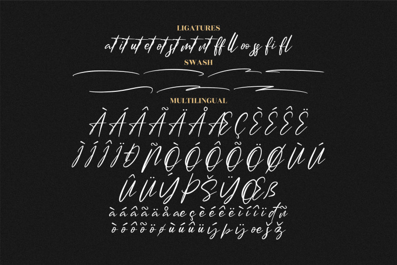 Amsterdam Signature Typeface preview image 4