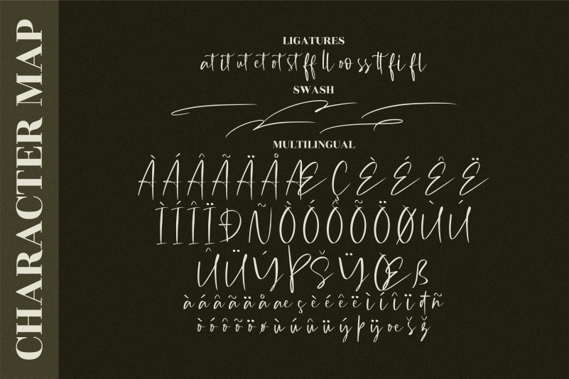 Michigan Custom Font preview image 4