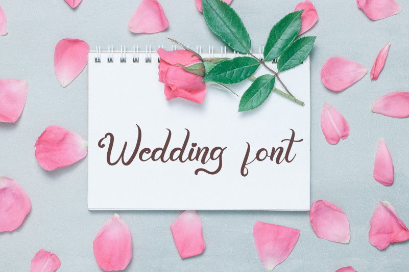 Welcome Summer Script Font preview image 3