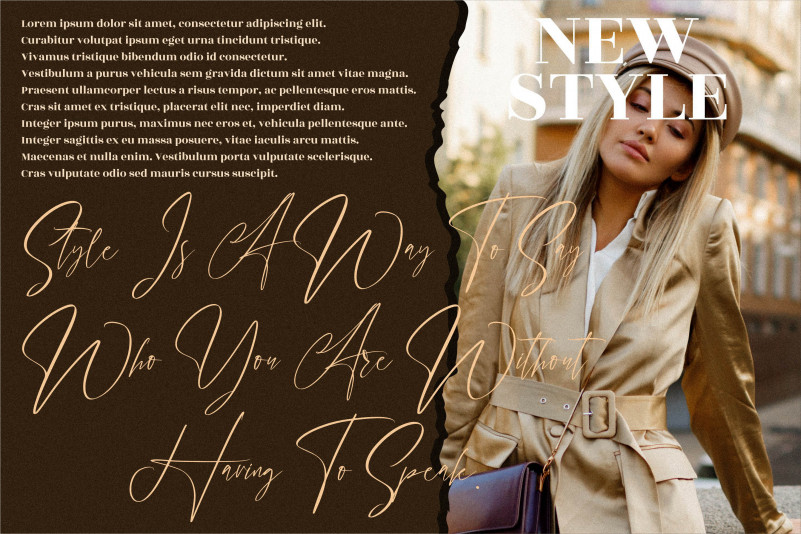 Handover Signature Font preview image 2