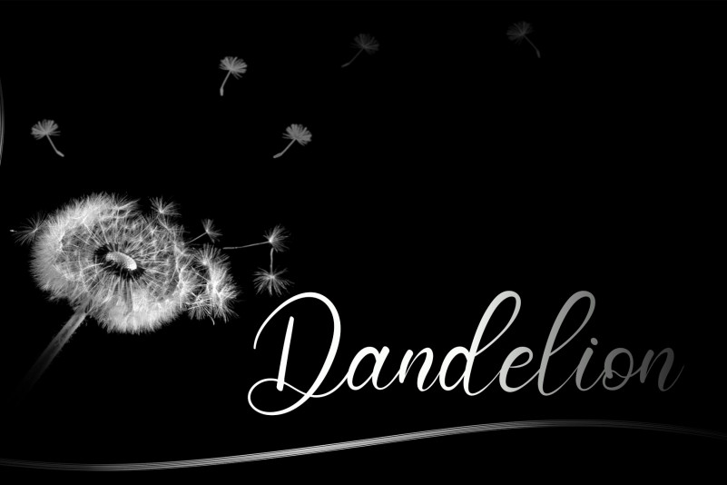 Summer Signature Font preview image 3