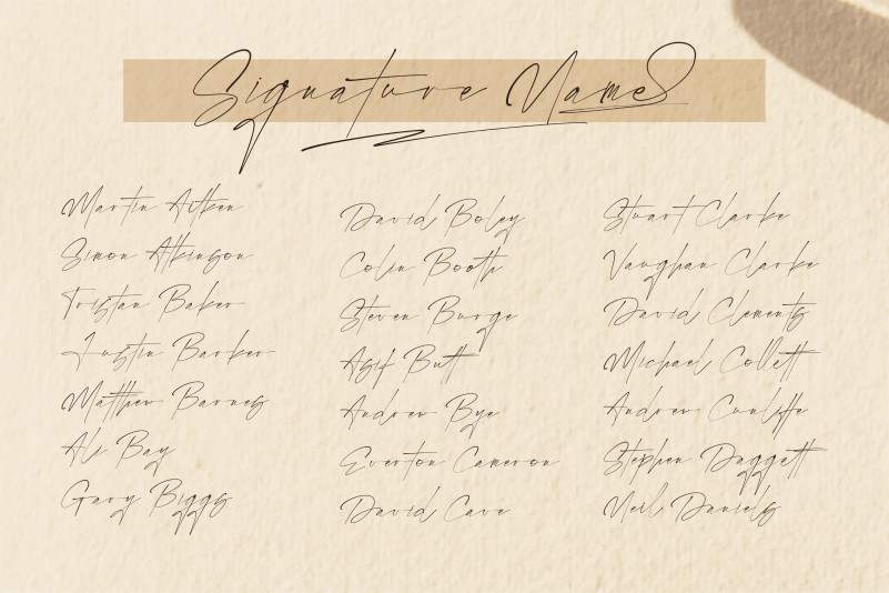 Rostera Signature Font preview image 2