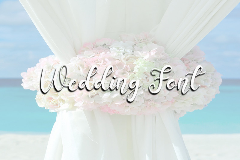 Fancy Signature Script Font preview image 4