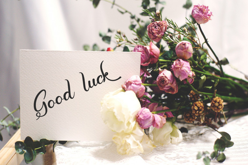 Welcome Summer Script Font preview image 5