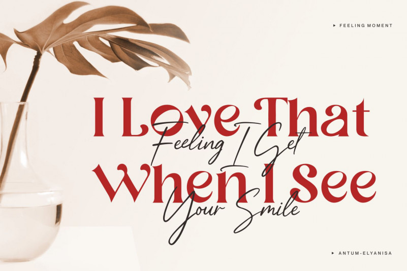 Neug Asia Font preview image 4