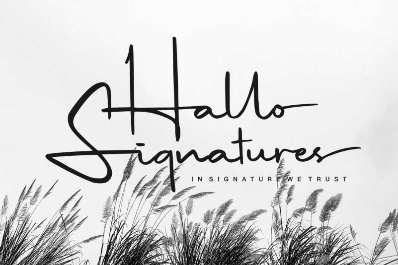 Hildaquin Font preview image 4
