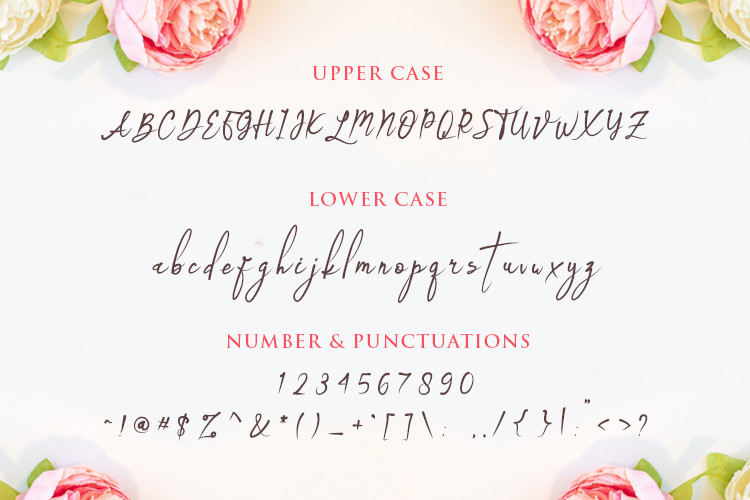 Bridesmaid Font preview image 3