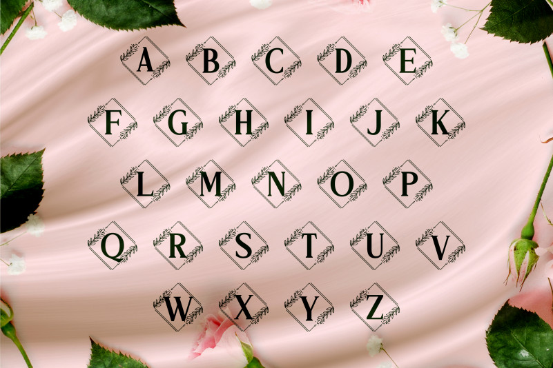 Vierasti Monogram Font preview image 4