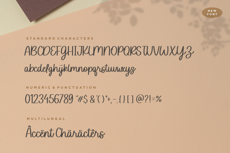 Sofia Carolyn Font preview image 5