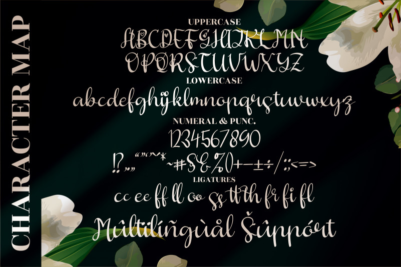 Butterfly Hellyna Font preview image 2