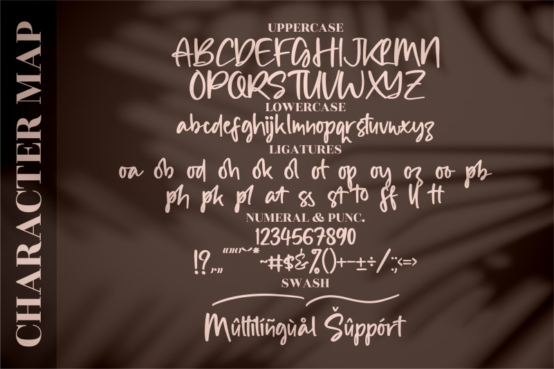 Alisha Gishela Font preview image 4