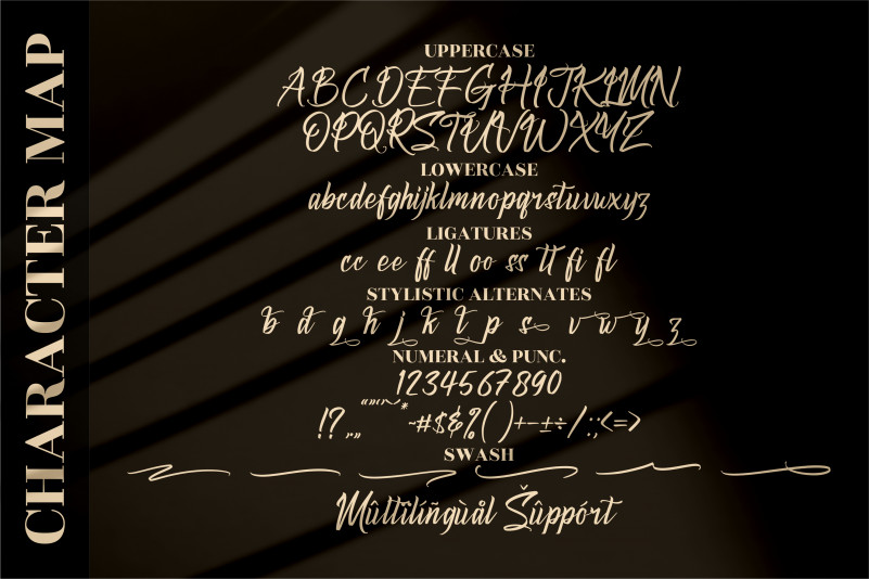 Symphony Calligraphy Font preview image 5