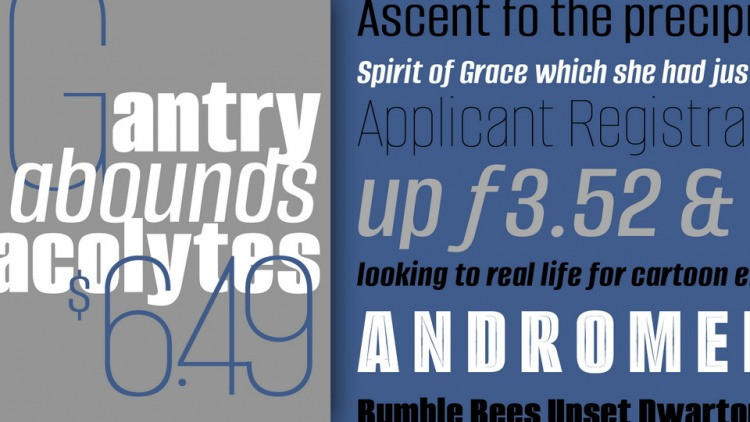 Alumni Font Family preview image 3