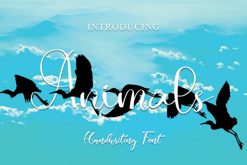 Animals Calligraphy Font