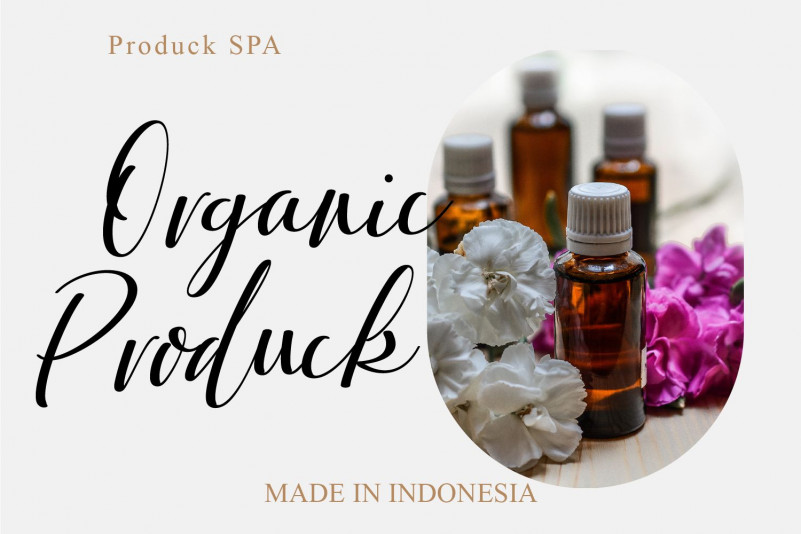 Ardinta Font preview image 3