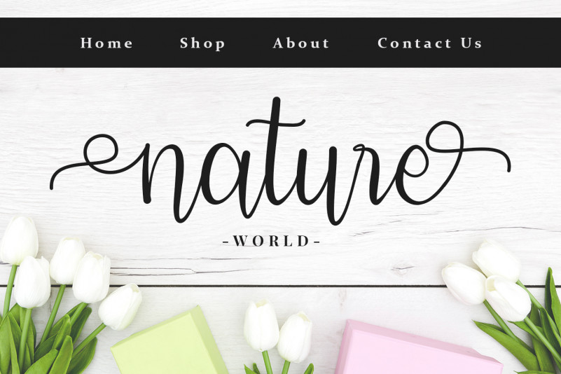 Modena Calligraphy Font preview image 2