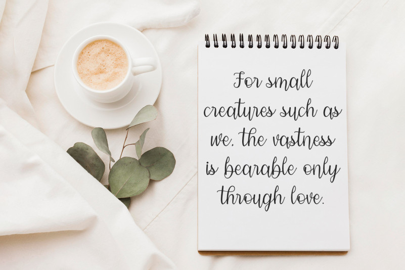 Modena Calligraphy Font preview image 5