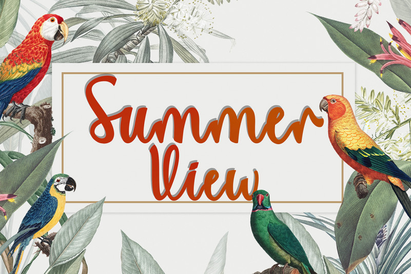 Summer View Script Font