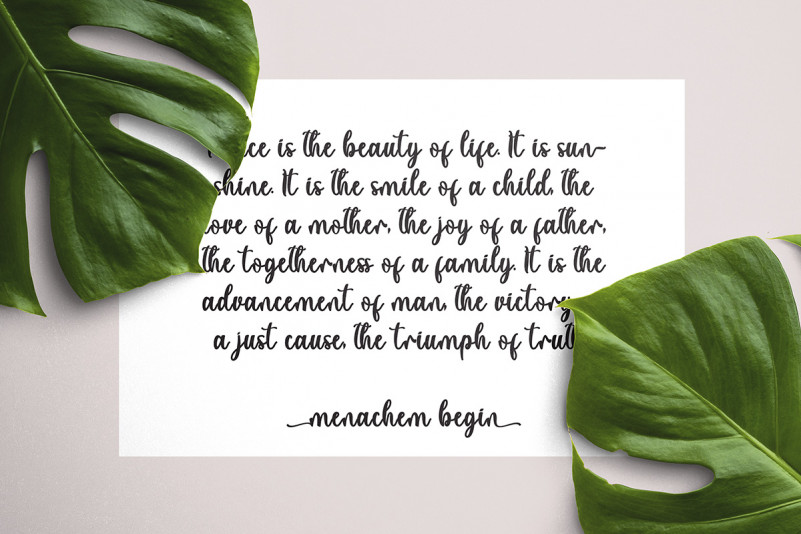 Summer View Font preview image 4