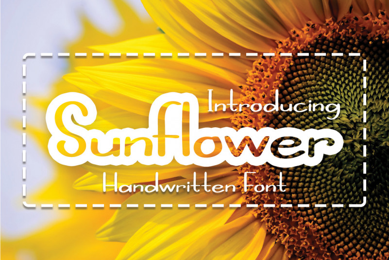 Sunflower Script Font