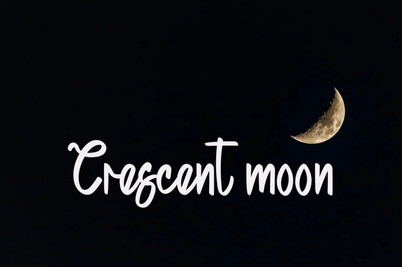 Creative Vintage Script Font preview image 2