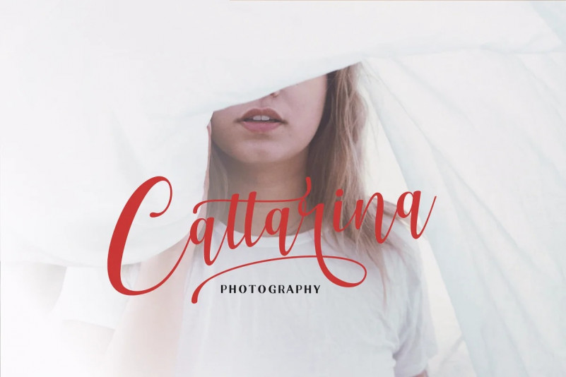 Aesthetica Font preview image 2