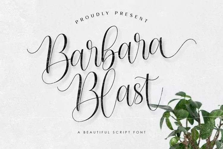 Barbara Blast Calligraphy Font