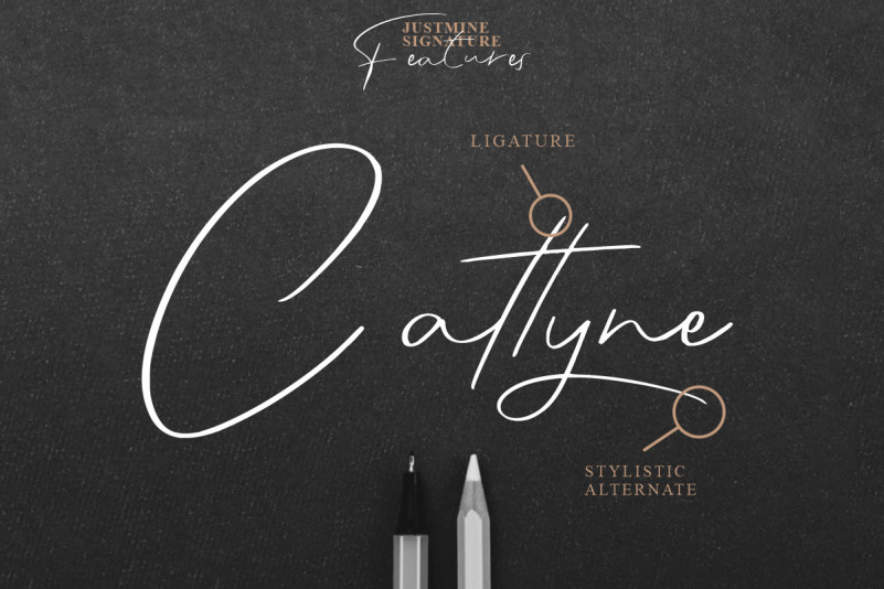 Justmine Signature Font preview image 2
