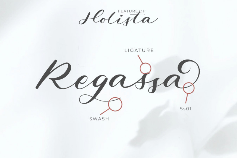Holista Font preview image 2