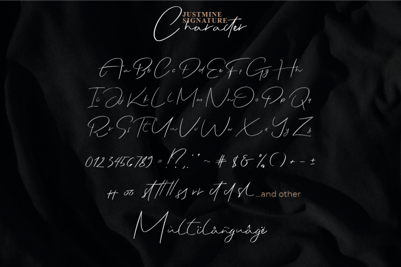 Justmine Signature Font preview image 3