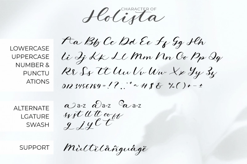 Holista Font preview image 3