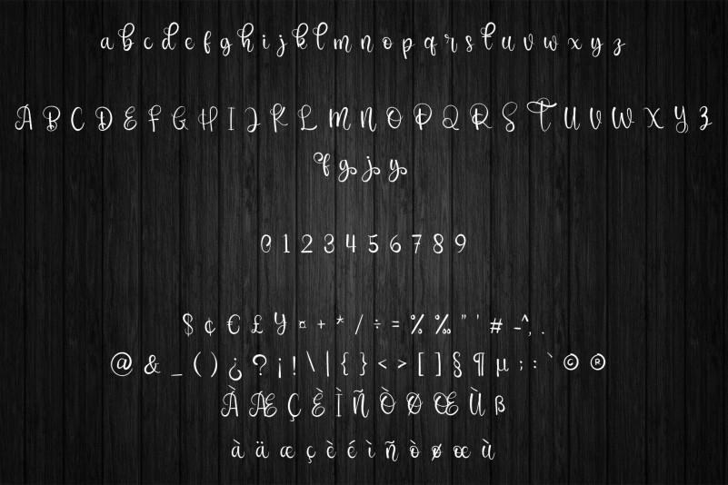 The Family Font preview image 2